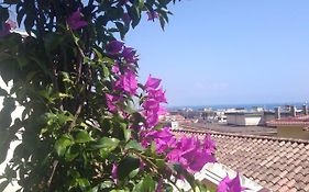 Fronte Al Porto